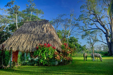 Belize-Interior-Jungle Explorer Getaway
